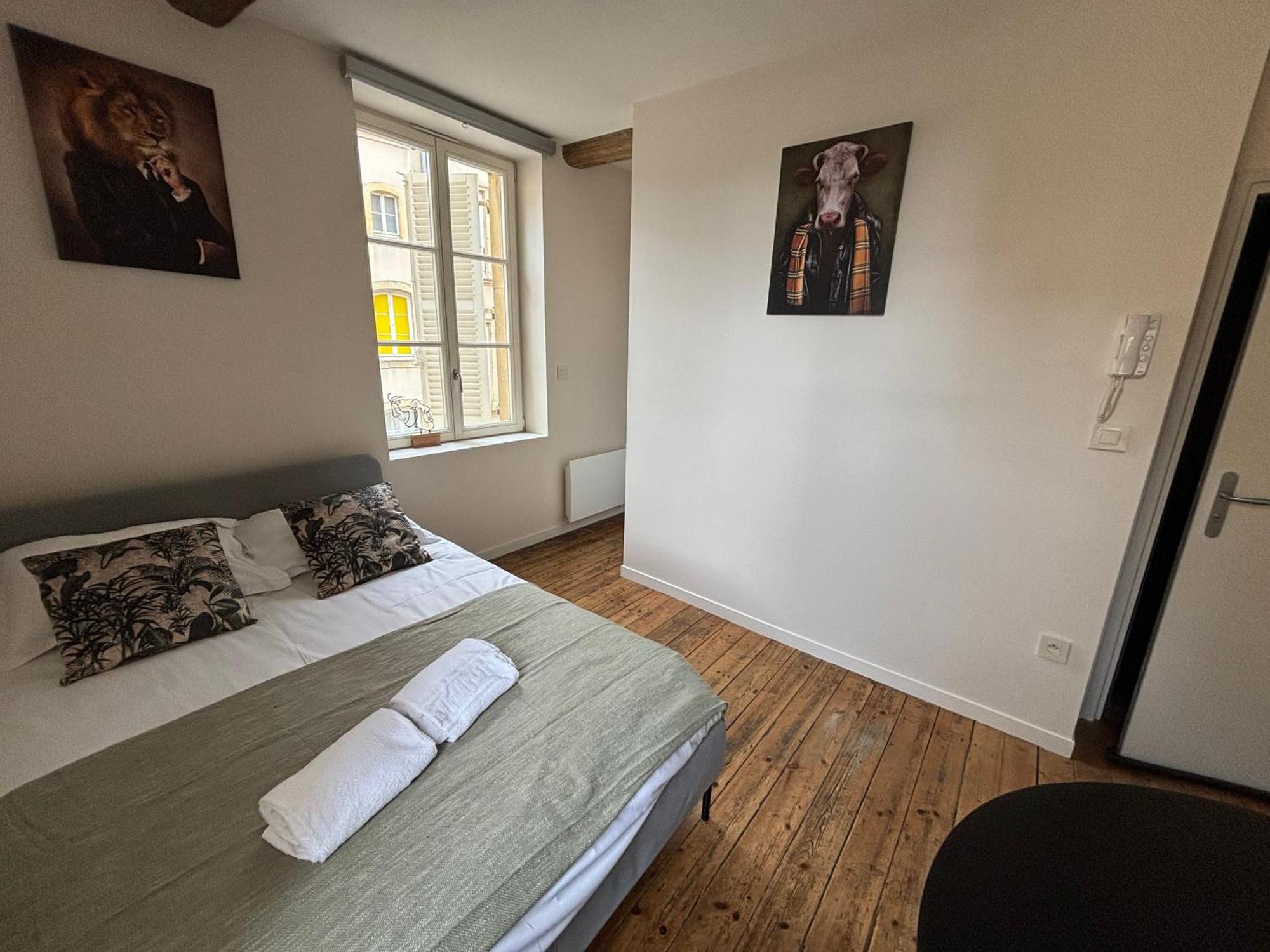 Louis Premier Et Second Metz Centre Un Sejour A Part公寓 外观 照片